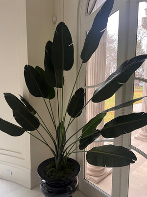 Artificial Bird of Paradise Plant *PLANTER NOT INCLUDED* (*2 available- sold individually- select quantity)