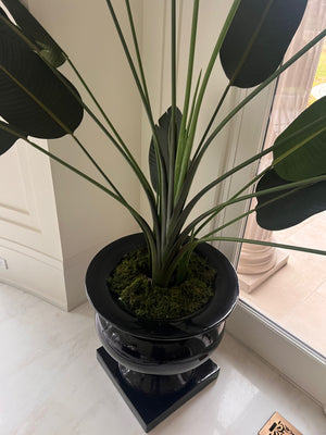 Artificial Bird of Paradise Plant *PLANTER NOT INCLUDED* (*2 available- sold individually- select quantity)