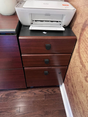 2 Filing Cabinets