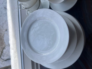 Rosenthal Classic Rose Collection Dinnerware Lot