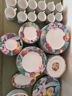 Mikasa Maxima Exotic Garden CAK26 Dinnerware Set- Service for 12