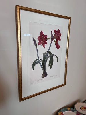 Botanical Framed Print