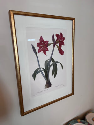 Botanical Framed Print