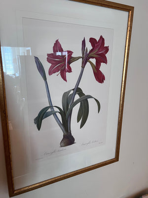 Botanical Framed Print