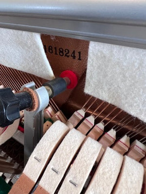 Kawai CE7 Upright Piano