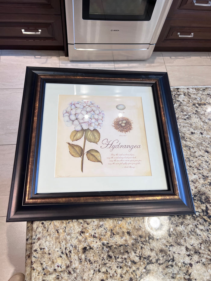 Hydrangea Print by Stephanie Marrott
