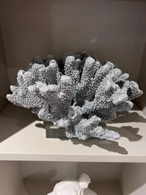 Sterling Industries Coral Decor