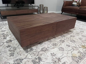 Structube Storage Coffee Table