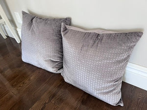 2 Accent Cushions