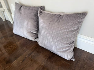 2 Accent Cushions