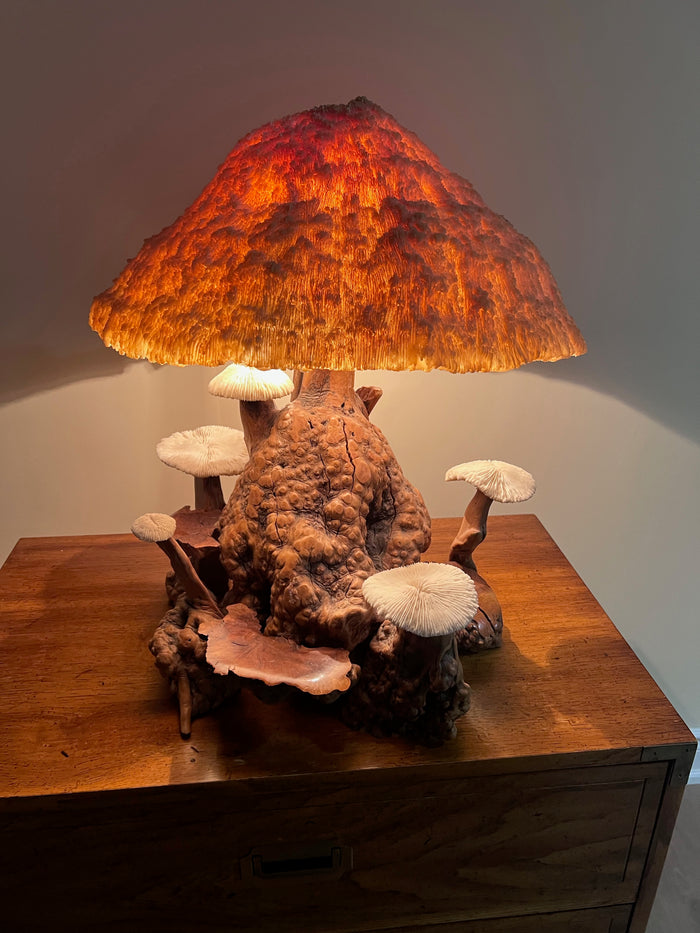 VERY UNIQUE! Vintage MCM Coral Magic Mushroom Lamp