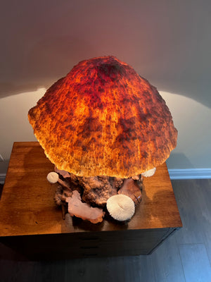 VERY UNIQUE! Vintage MCM Coral Magic Mushroom Lamp