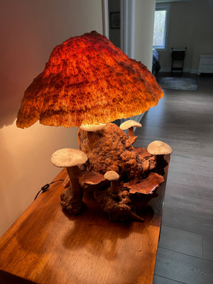 VERY UNIQUE! Vintage MCM Coral Magic Mushroom Lamp