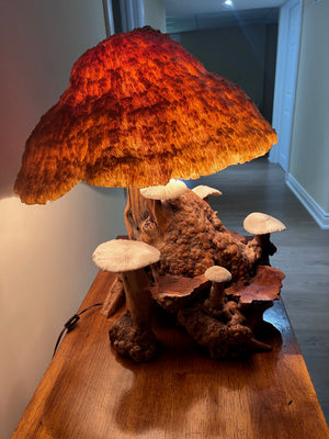 VERY UNIQUE! Vintage MCM Coral Magic Mushroom Lamp