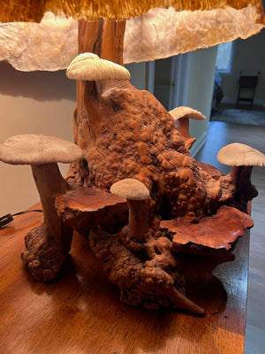 VERY UNIQUE! Vintage MCM Coral Magic Mushroom Lamp