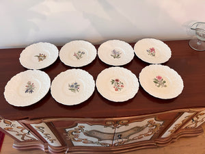 8 Royal Cauldon Bristol Ironstone Woodstock Botanical Plates