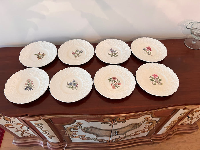 8 Royal Cauldon Bristol Ironstone Woodstock Botanical Plates