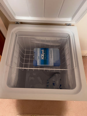 Wood's Chest Freezer