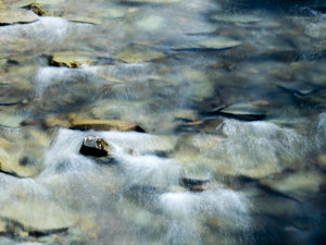 Lori Ryerson Fine Art Photography 'Not Quite Monet', Stony Brook State Park, NY (unframed) 24" x 30"