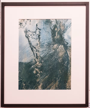 Lori Ryerson Fine Art Photography 'Peacock Bichromate', Toronto (framed)  21" x 25"