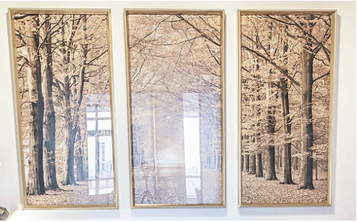 Trio of fall tree artwork in gold frames