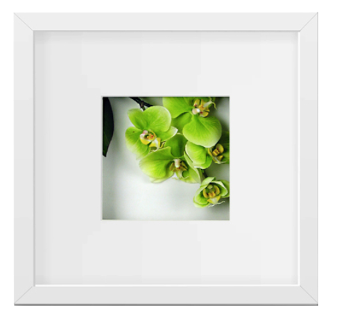 Orchids, Green Print