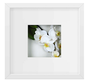 Orchids, White Print