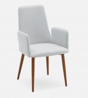 Structube Grey Sofia Dining Chair