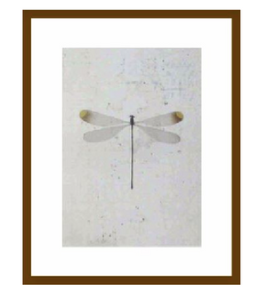 Dragonfly Wall Art