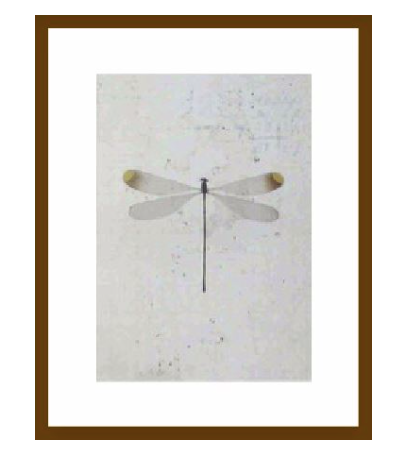 Dragonfly Wall Art