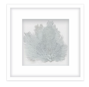 Blue Coral Wall Art