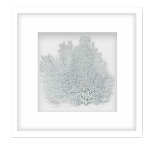 Blue Coral Wall Art