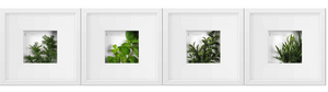 4pc Herbs Wall Art