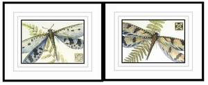2pc Dragonfly Wall Art