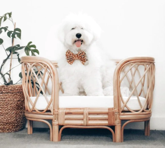 Bella Rattan Dog Bed- retail $790