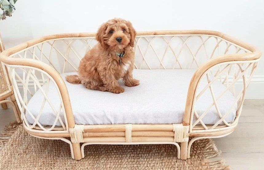 Bella Rattan Dog Bed retail 790