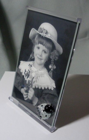 Swarovski Crystal 211739 Lady Bug Picture Frame