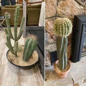 Artificial Cactus Plant Lot