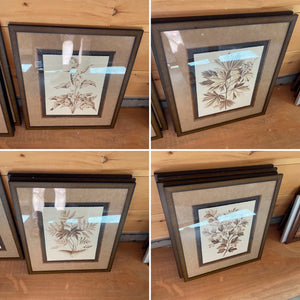 Somerset- Set of Four Sepia Munting Foliage Prints