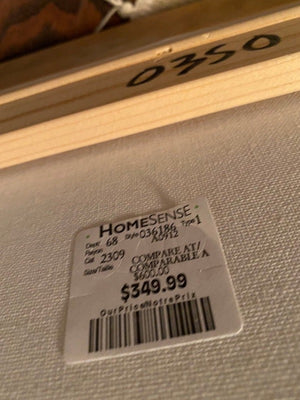 HomeSense Wall Art (RETAIL- $349.99)