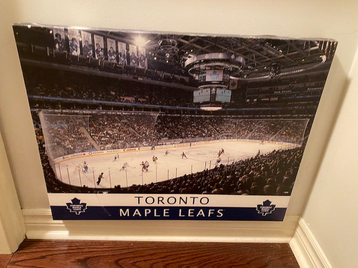 Artissimo "Toronto Maple Leafs" Unframed Canvas Art