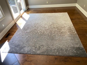 Ren-Wil Alberto Beige Rug Art