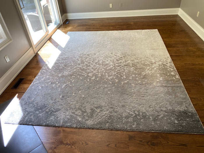 Ren-Wil Alberto Beige Rug Art