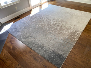 Ren-Wil Alberto Beige Rug Art