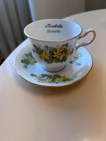Queen anne bone china tea cup shop