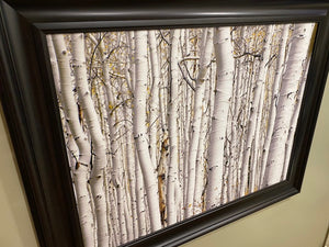 Birch Tree Wall Art