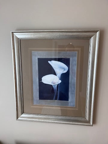 Framed Print- Flowers