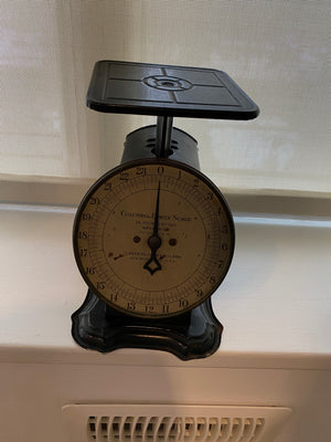 Antique 1907 COLUMBIA FAMILY SCALE-24 LB IN OZS