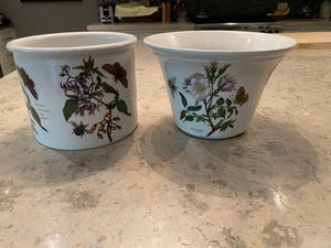 2 The Botanic Garden Portmeirion Ceramic Flower Pots
