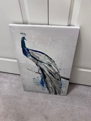 'Casa Can Peacock' Wall Art- Bouclair